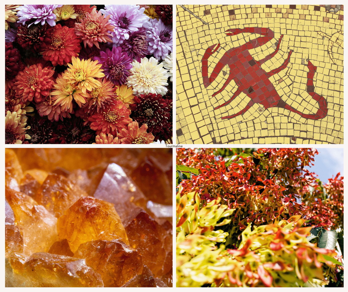 Autumn Symbolism