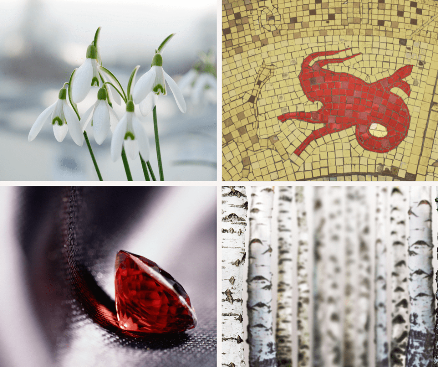 Four image tiles showing clockwise snowdrops, the sign of the Capricorn in mosaics, the fir tree, and a garnet gemstone