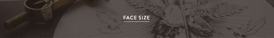 facesize.png